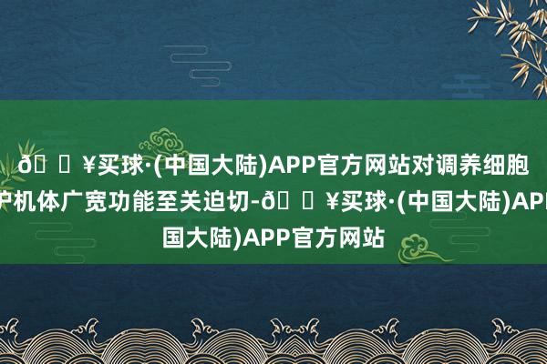 🔥买球·(中国大陆)APP官方网站对调养细胞病弱和看护机体广宽功能至关迫切-🔥买球·(中国大陆)APP官方网站