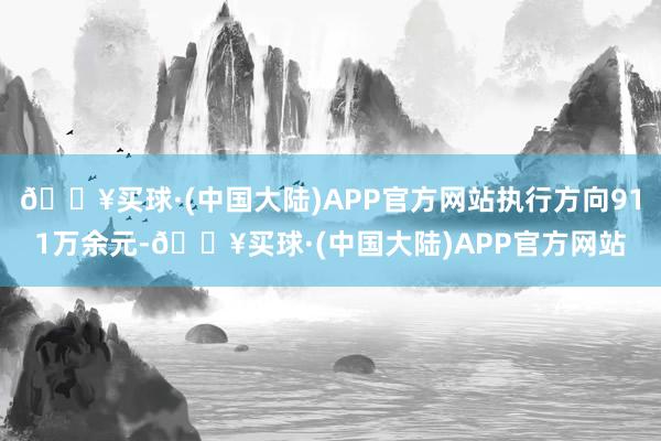 🔥买球·(中国大陆)APP官方网站执行方向911万余元-🔥买球·(中国大陆)APP官方网站