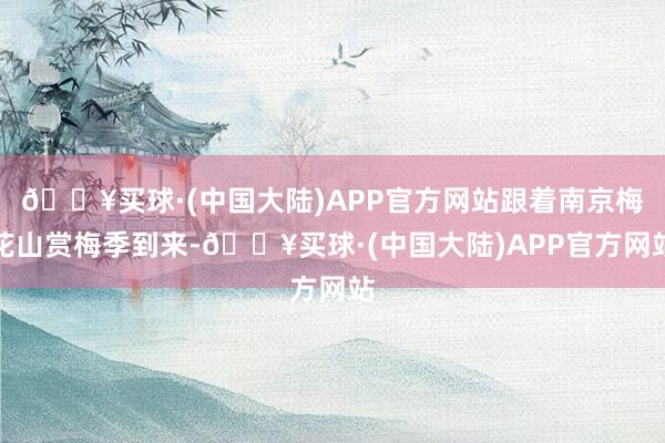 🔥买球·(中国大陆)APP官方网站跟着南京梅花山赏梅季到来-🔥买球·(中国大陆)APP官方网站